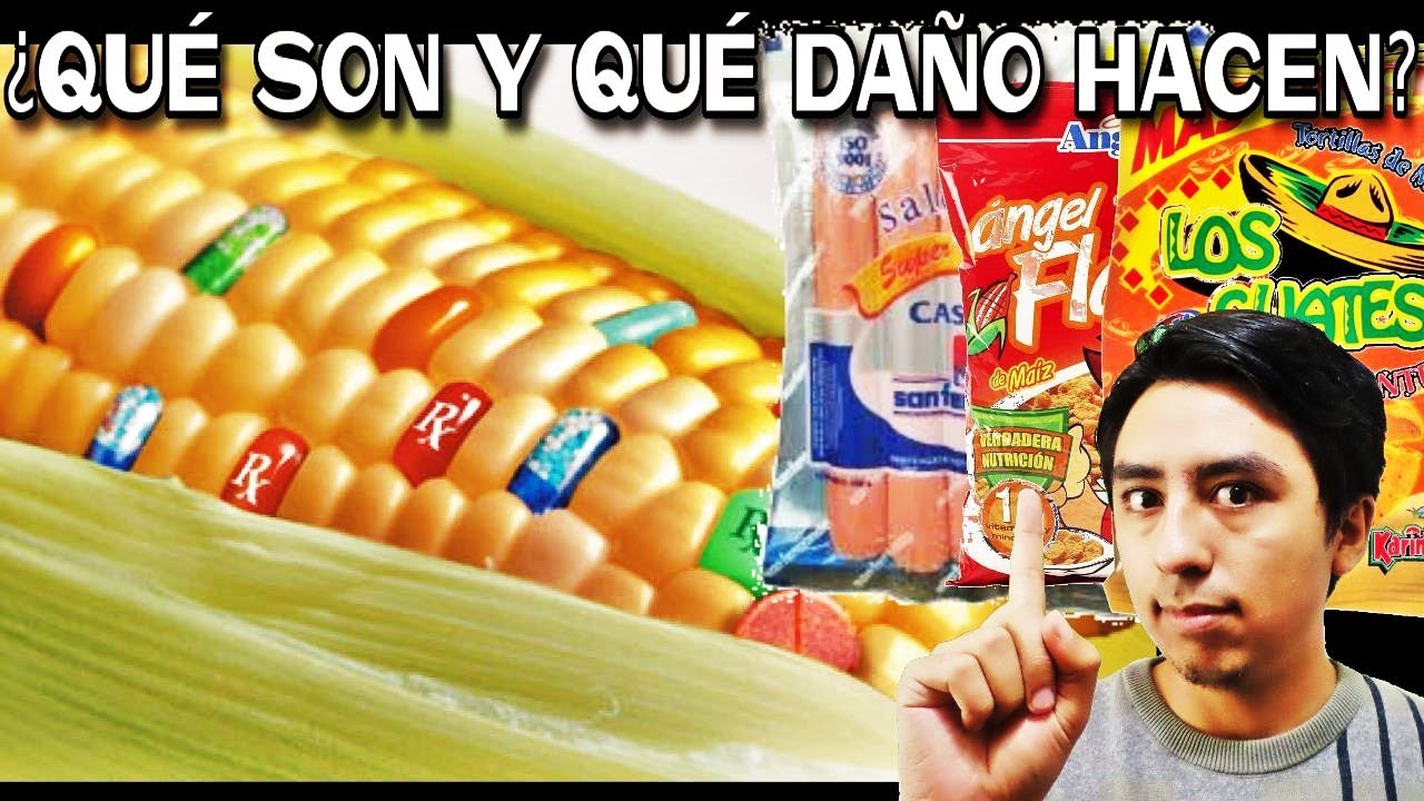 9 PRODUCTOS TRANSGÉNICOS DEL PERÚ Y LOS MITOS ALIMENTARIOS Y BIÓLOGOS | @SoyHugoX