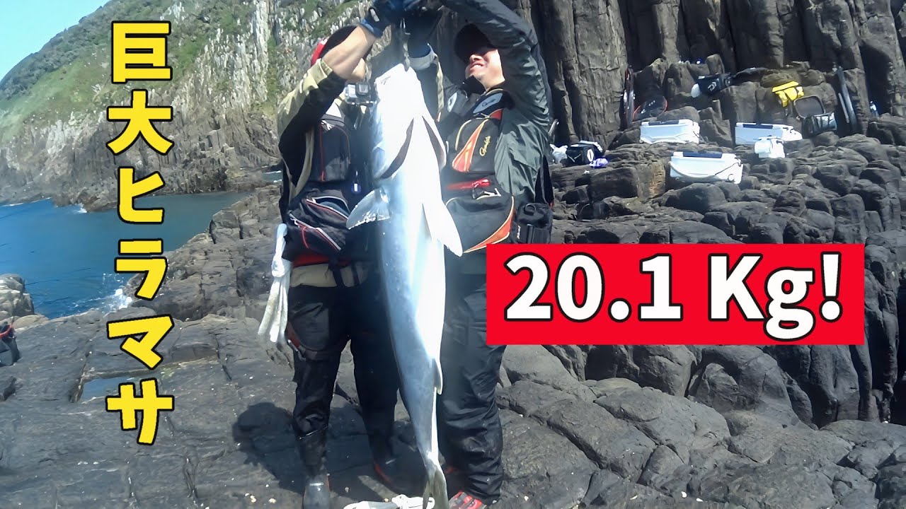 【衝撃】20.1kgの超巨大ヒラマサ捕獲！ 2025#6