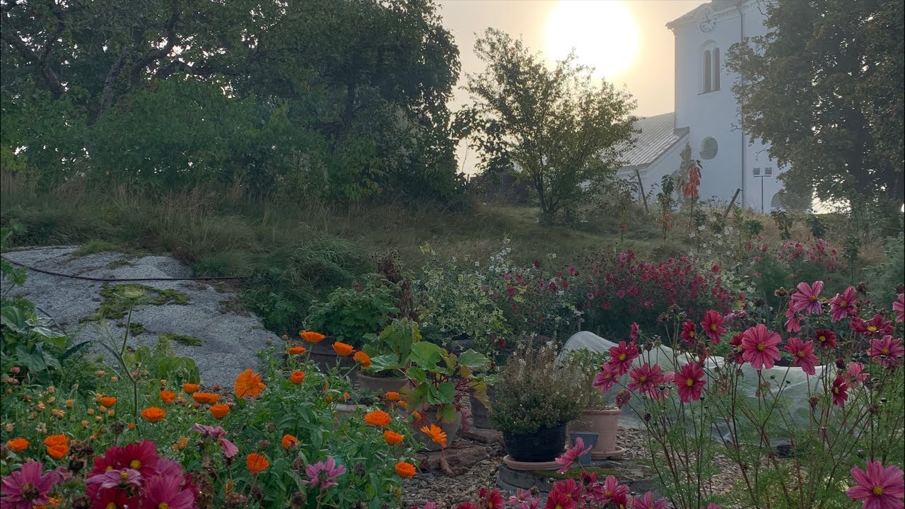 GARDEN TOUR: Oak Hill Cottage Garden in Sweden - September 2020