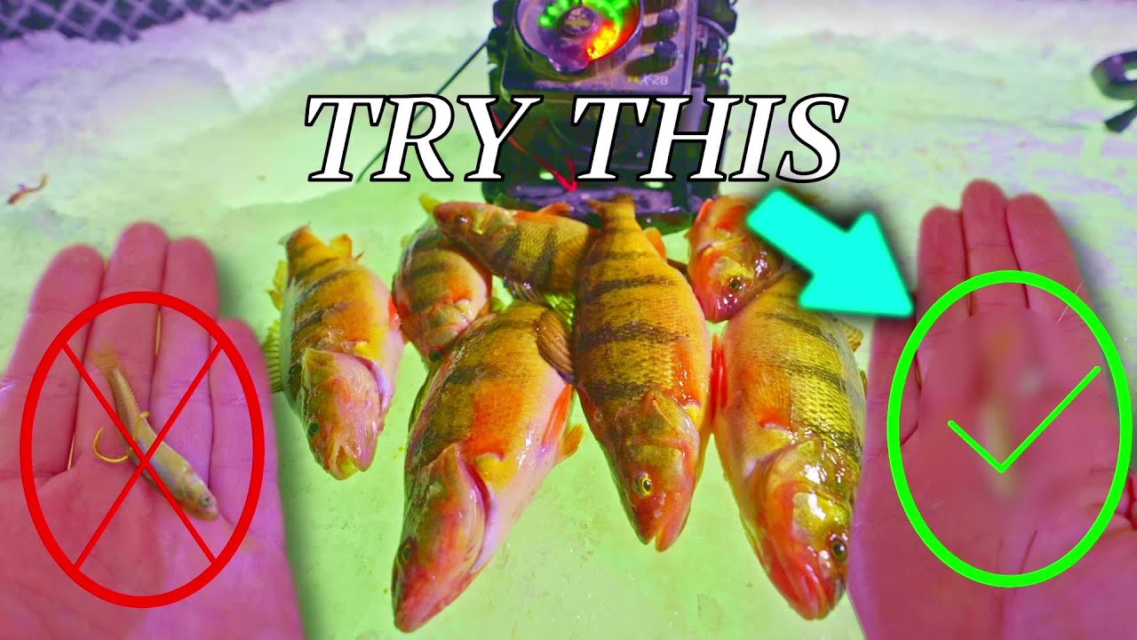 Ice Fishing Devils Lake, ND | How To Catch Cold Front Perch