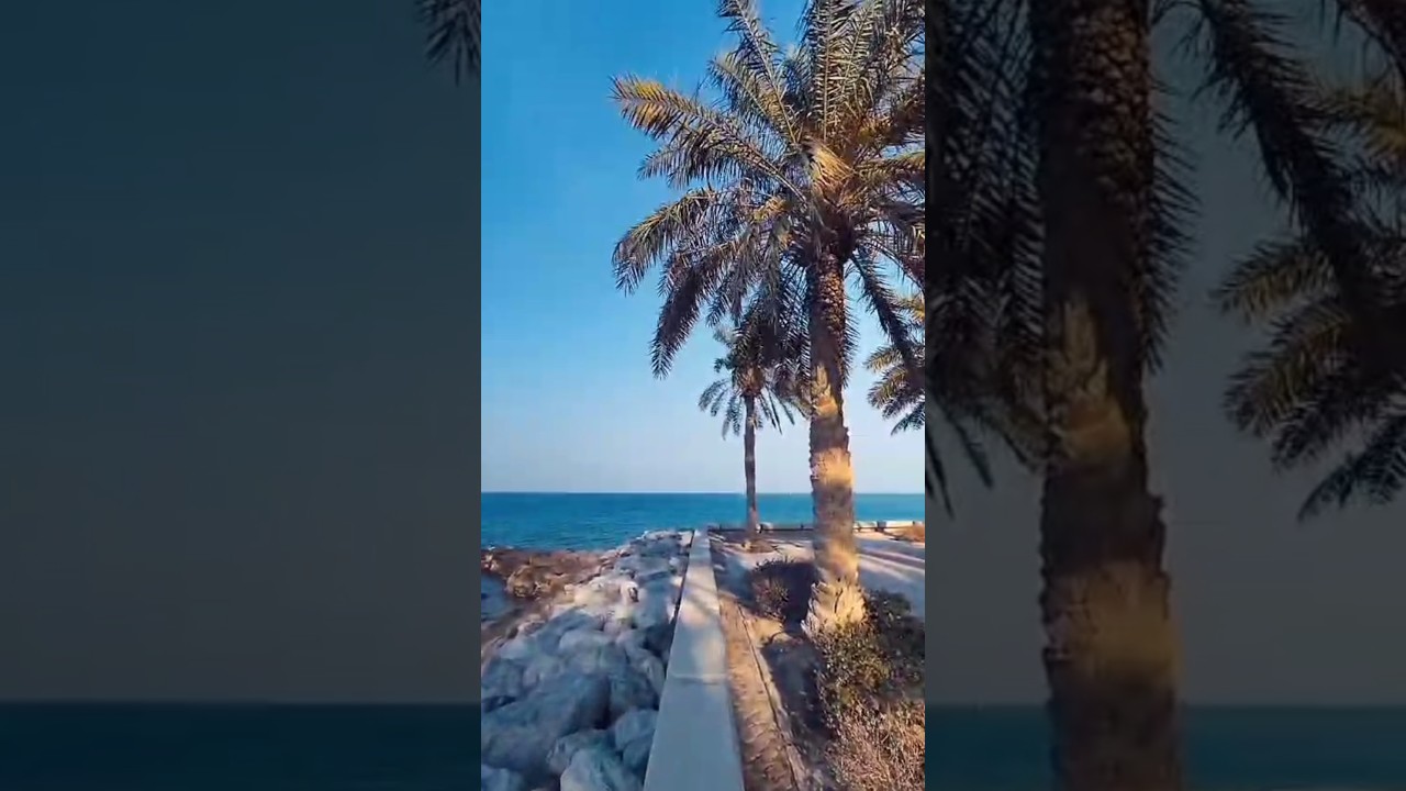 Kuwait's Secret: Exploring Mangaf Sea Beach