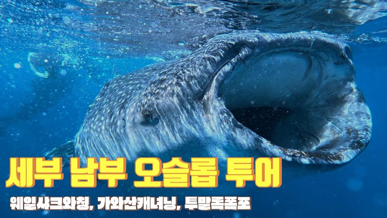 세부 남부 오슬롭 투어 (웨일샤크와칭, 투말록폭포, 가와산캐녀닝)