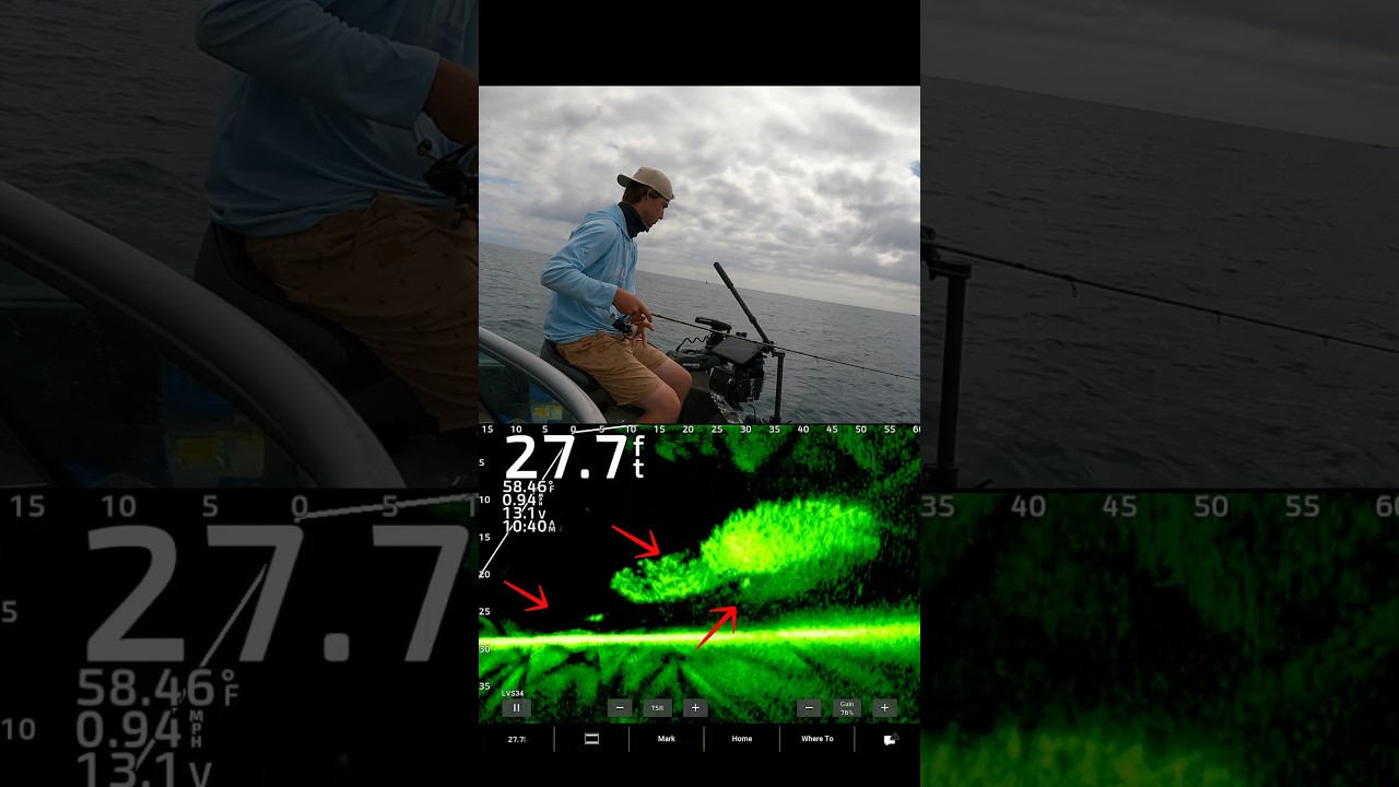 Find the bait, find the fish! 