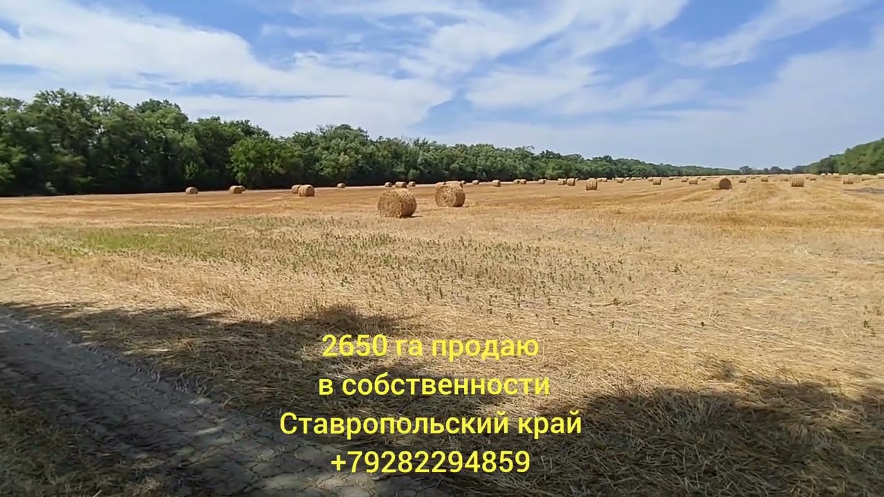 Продаю земли и сельхозпредприятия Ставропольский, Краснодарский край, Ростовская обл.+79282294859