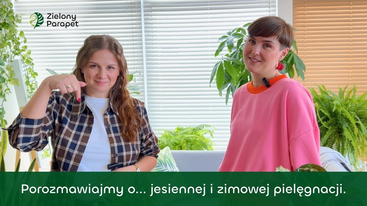 Porozmawiajmy o… jesiennej i zimowej pielęgnacji roślin