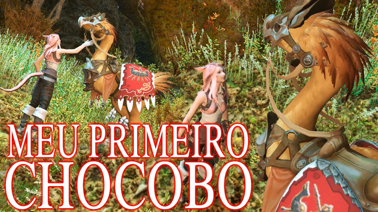 Pegando sua primeira montaria