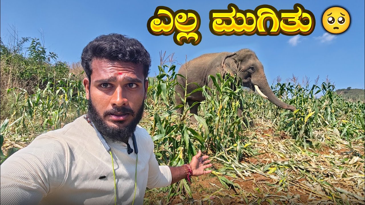 ಏನ್ ಮಾಡೋದು🥺 Elephant Attack | Avatar Shiva Vlogs