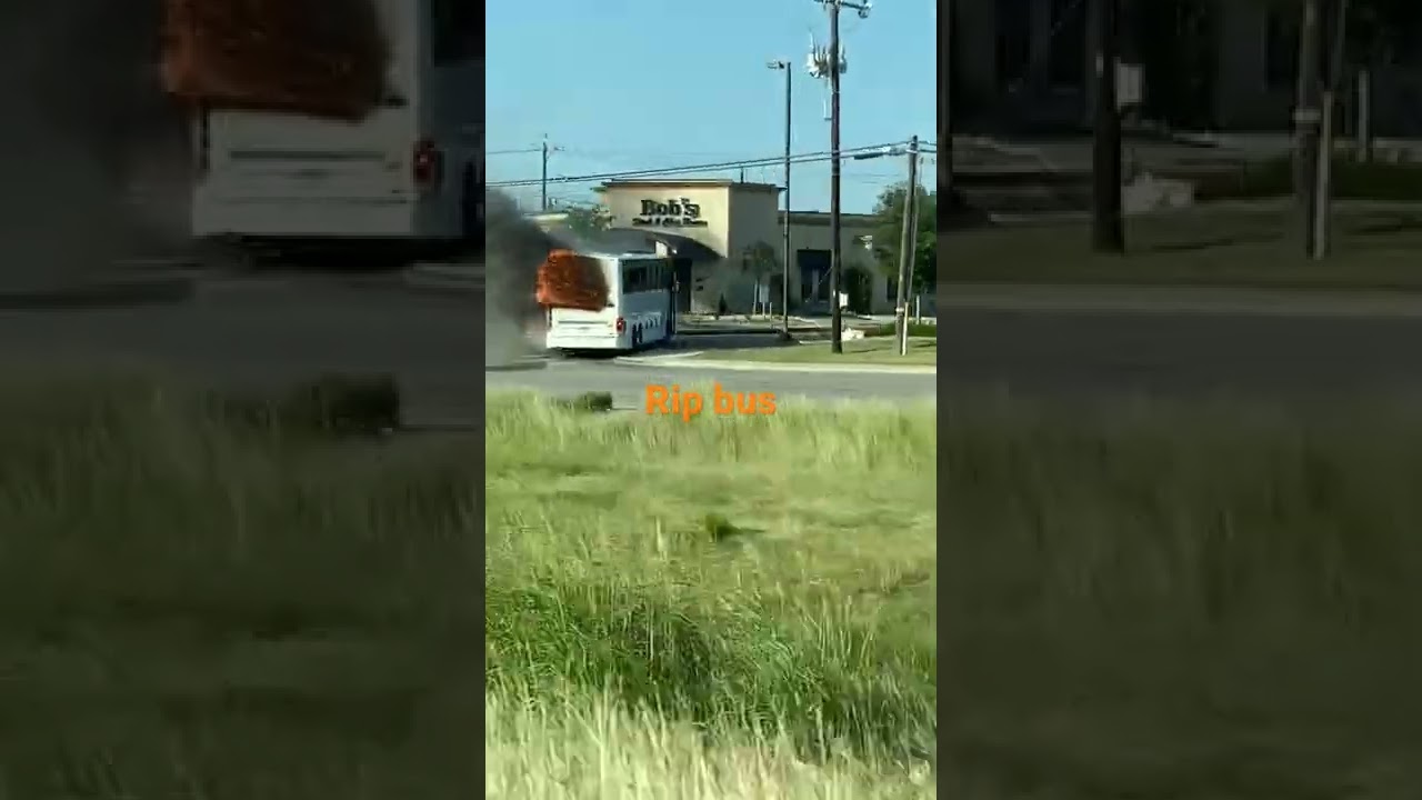 Rip bus