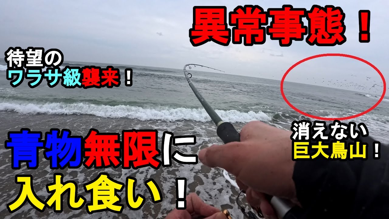 【茨城県某所】晩秋の海で異常事態発生！特大青物無限に入れ食い！関東地方の太平洋側に面している砂浜エリア（鹿島灘サーフ）で、ルアー釣りのショアジギングの特訓をしていたら…！【2025年11月中旬〜下旬】