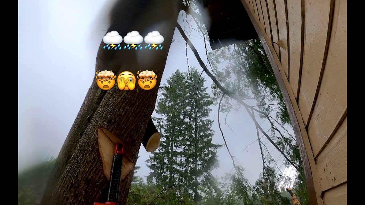 Katastrofi juttu? Miksi en keskeyttänyt tätä työtä 😳?. Husqvarna 572 xp.
