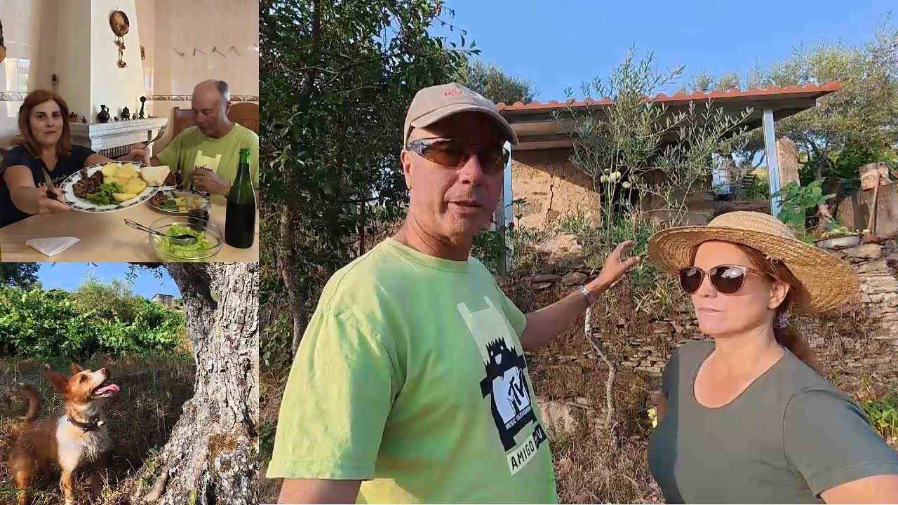 CUSTOS DA CASINHA DA HORTA #conversa informal