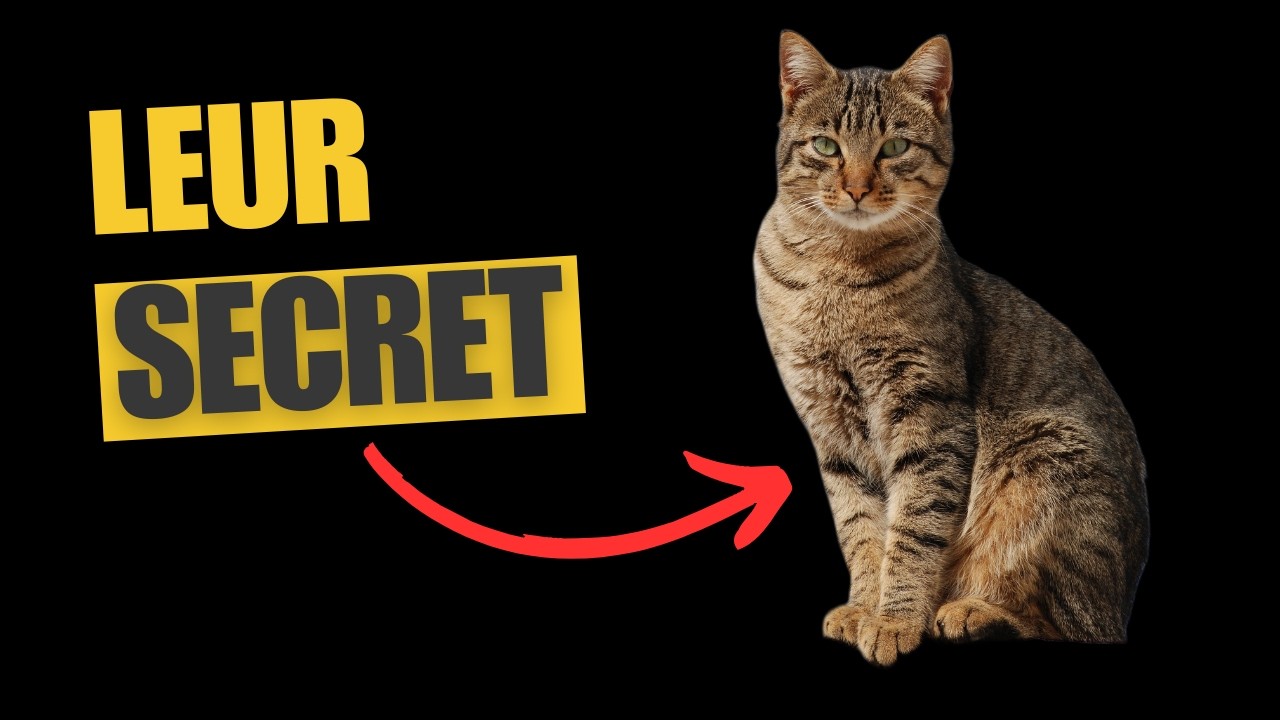 Le secret des CHATS qui vous GARDE EN VIE !