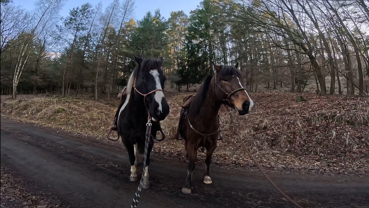 Skoro jarní vyjížďka 25.2. ~ Black & Monty