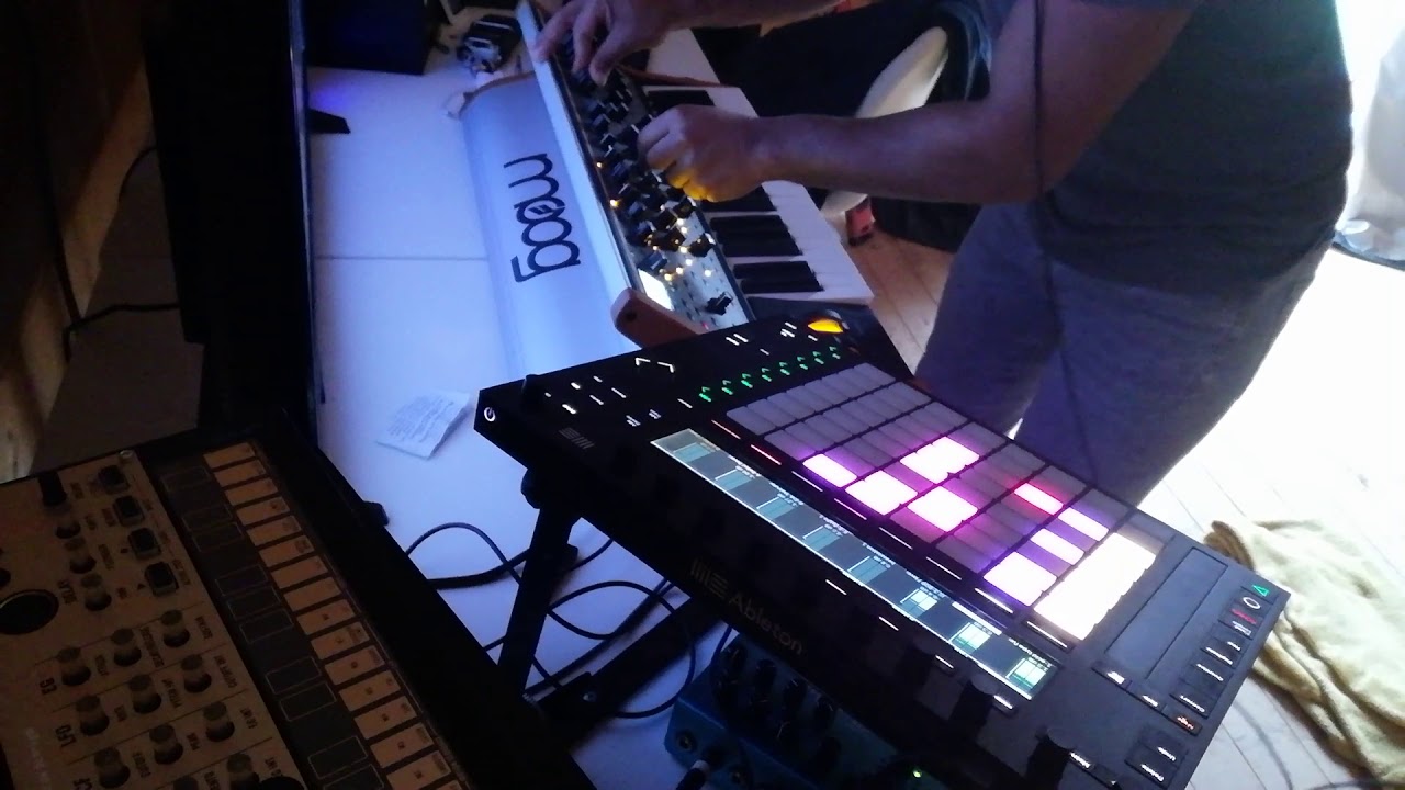 Acid patch on the Moog sub 37