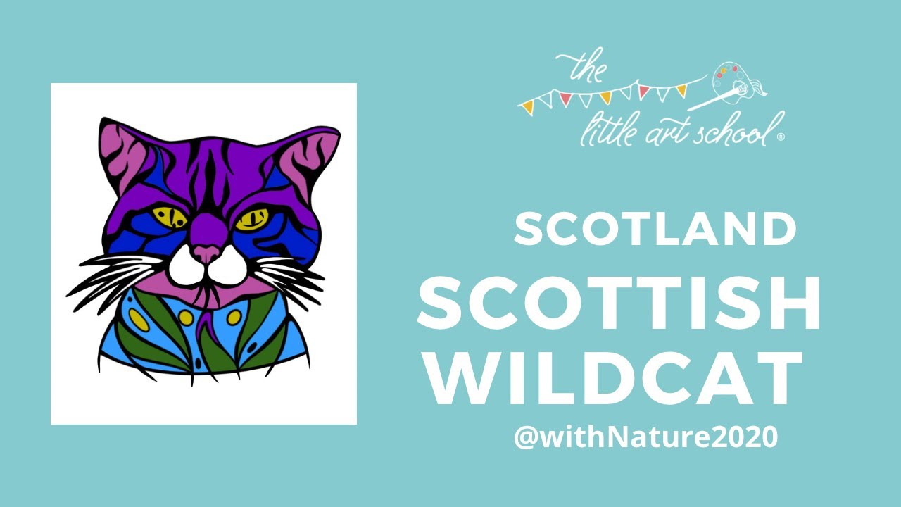 How to draw a Scottish Wildcat - @withNature2020 for SCOTLAND