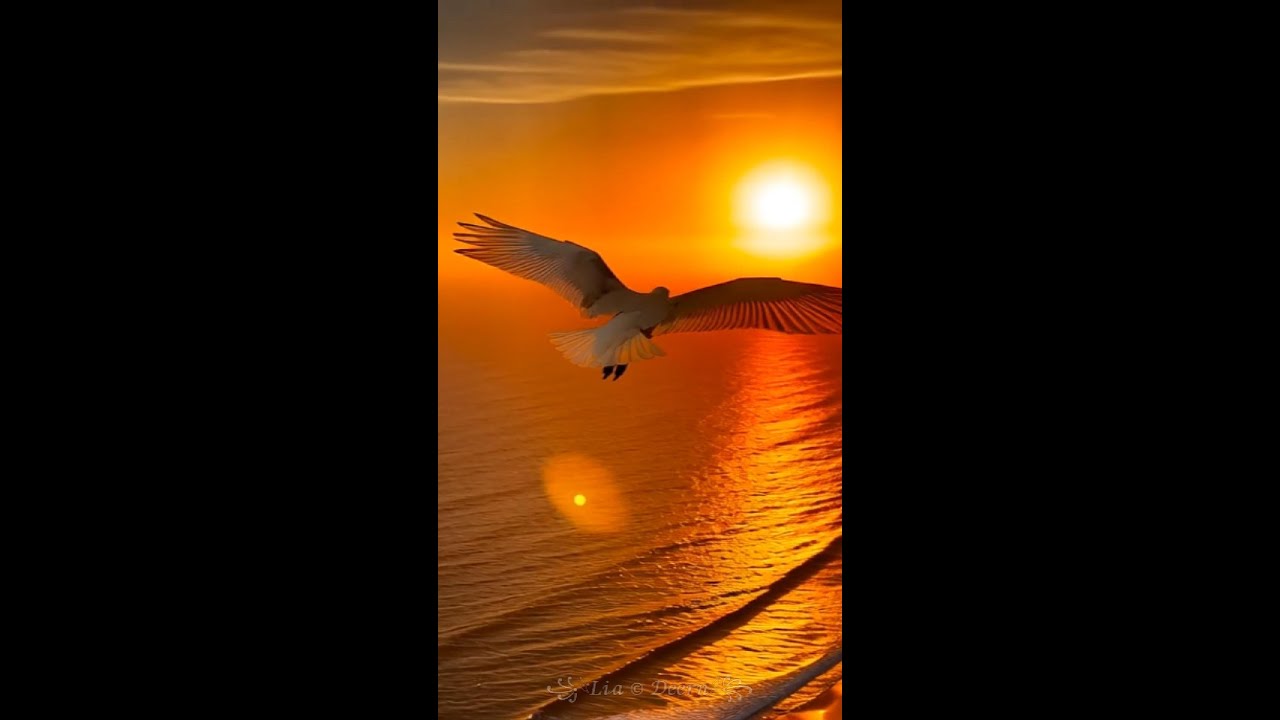 Das Meer