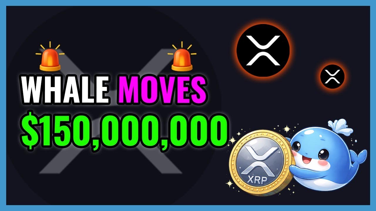 XRP Whale Just Moved $150,000,000!🚨WHALE ALERT