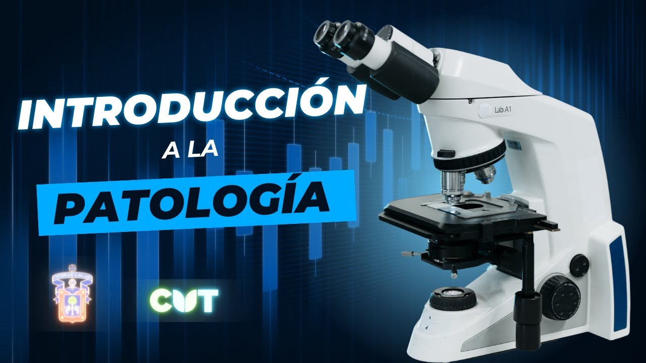 Introducci&oacute;n a la Patolog&iacute;a - Definici&oacute;n