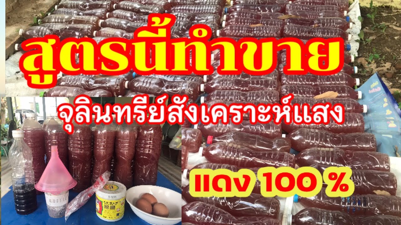 91/.สูตรสำหรับทำขาย ขยายหัวเชื้อจุลินทรีย์สังเคราะห์แสง รับรองแดง 100%