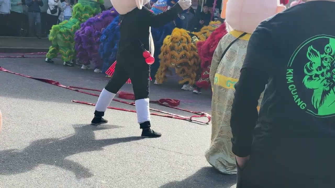 Lion dance dragon dance and fire creakers