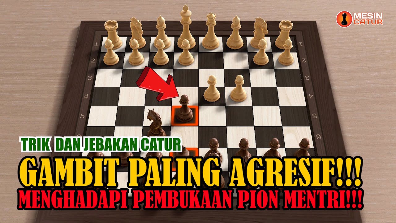 POWERFUL GAMBIT BUAT HITAM!!!