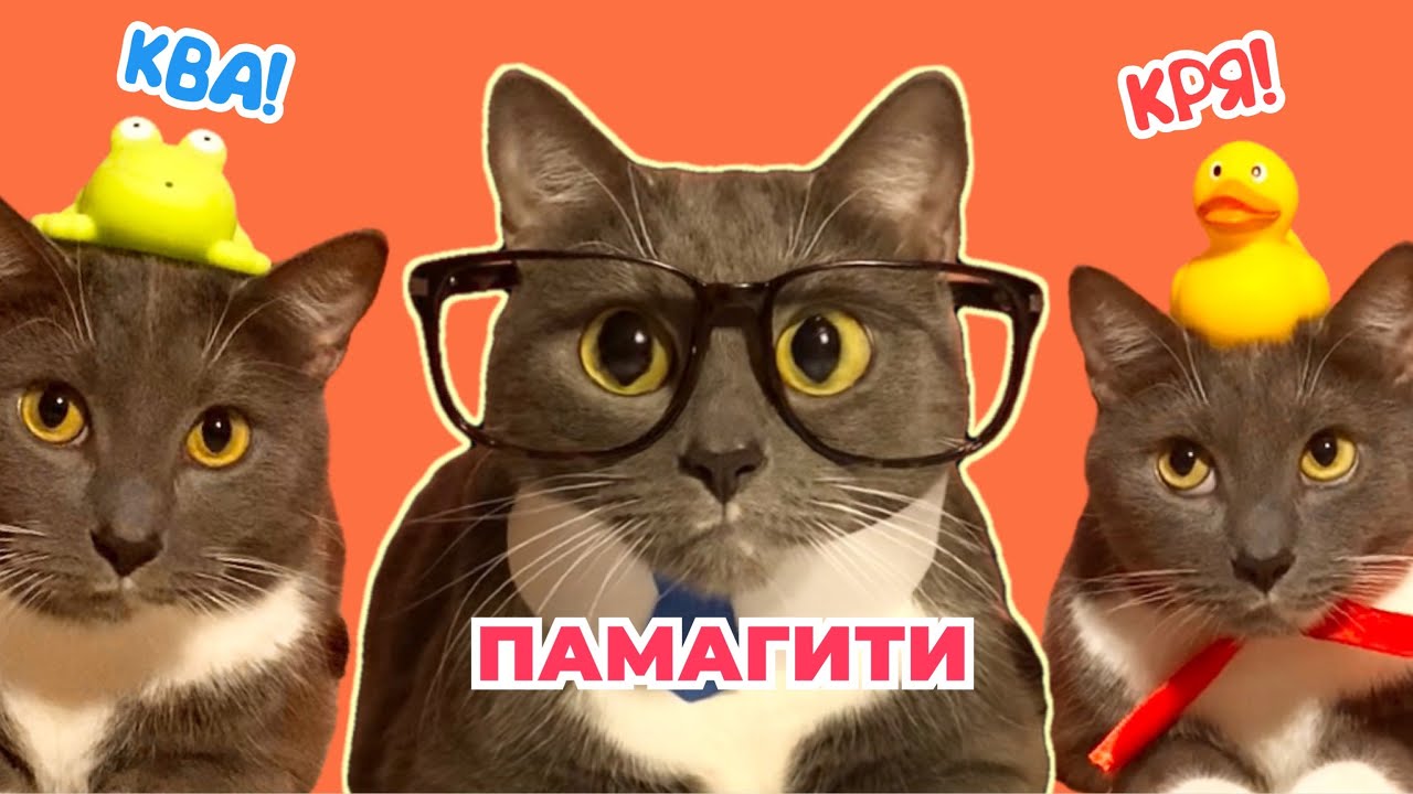 ЕСЛИ БЫ КОТИКИ ХОДИЛИ В ШКОЛУ - ВИДЫ УЧЕНИКОВ НА УРОКЕ