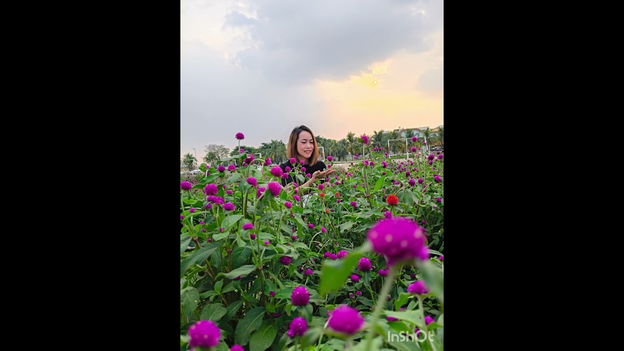 Lắng nghe mùa Xuân về (DT) Jenny cover 24.01.2026
