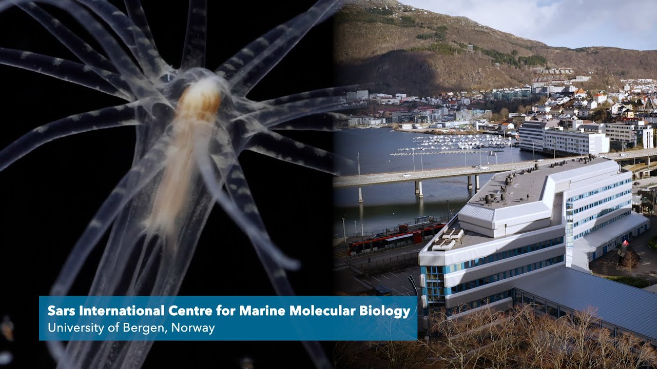 Sars International Centre for Marine Molecular Biology