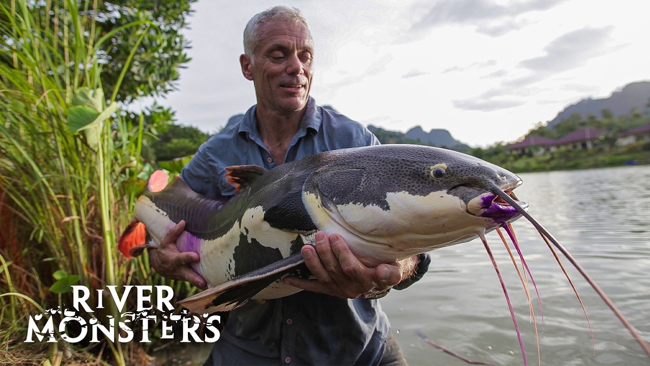 Jeremy Wade&rsquo;s BEST FISHING SPOTS with Insane Catches | River Monsters