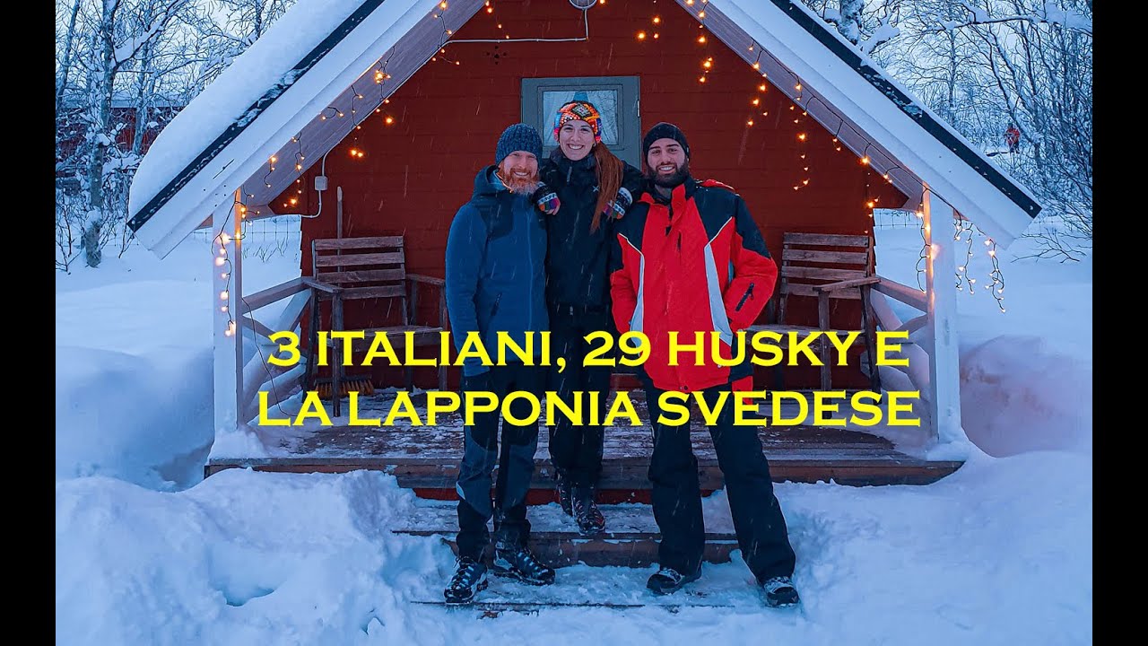 Lavorare in una Husky Farm nella LAPPONIA SVEDESE durante il COVID