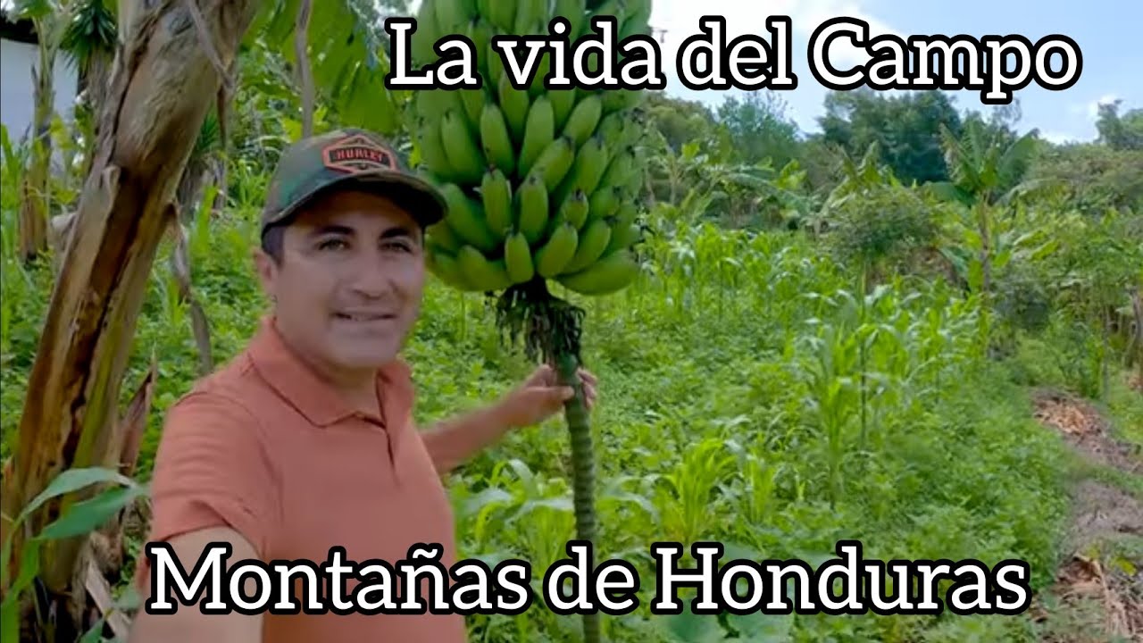 Vida del Campo en Las Montañas de Copan, Honduras 08 22