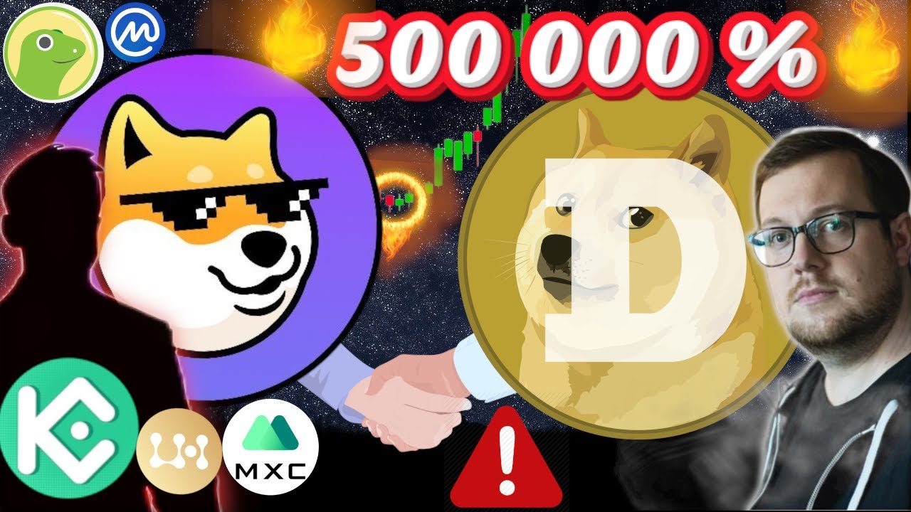 DOGECHAIN ПОМОЩНИК DOGE КРИПТОВАЛЮТА, ТРЕЙДИНГ 5000Х