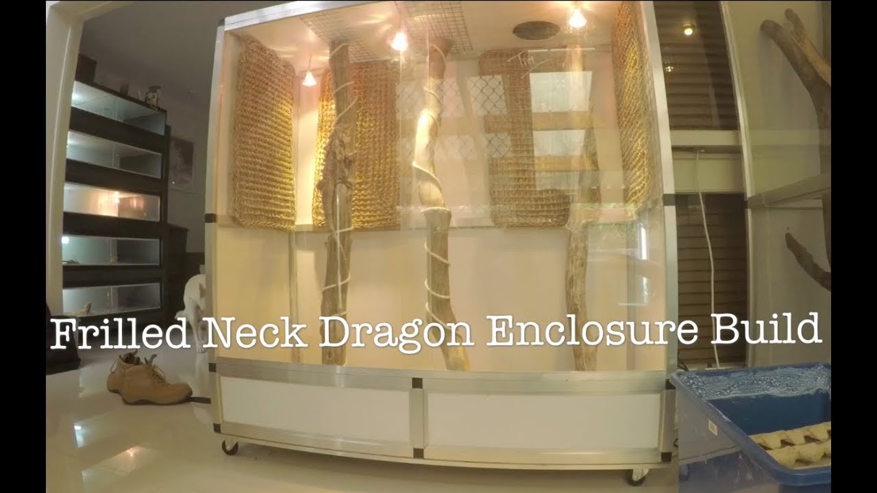 DIY Demo: Frilled Neck Dragon Enclosure Build