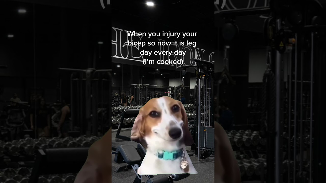 It’s legday 