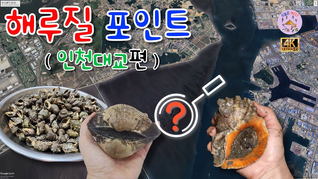 해루질 포인트 (인천대교 포인트) #경기권 #해루질 #소라 #인천권 #인천대교 #낮루질