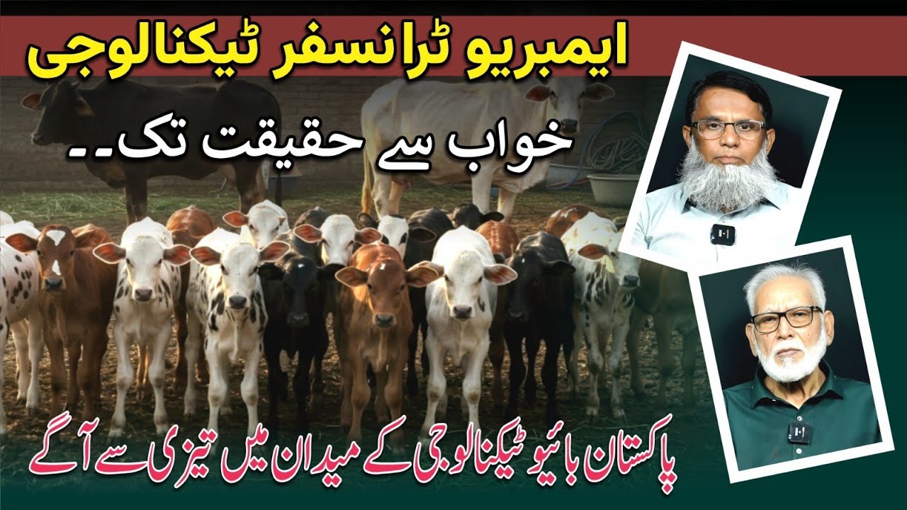 Embryo Transfer Technology in Pakistan