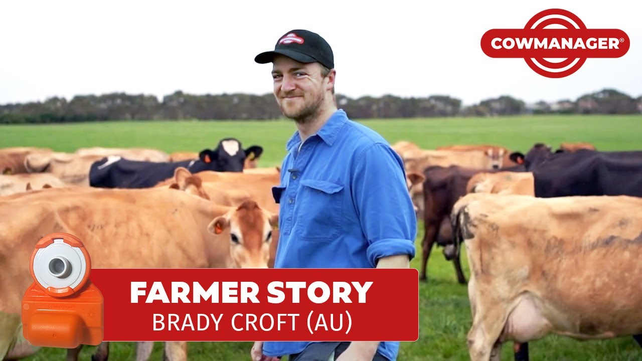 Cow Monitoring Makes Life Easier for Brady Croft #australia #cowmanager #dairyfarming #eartags