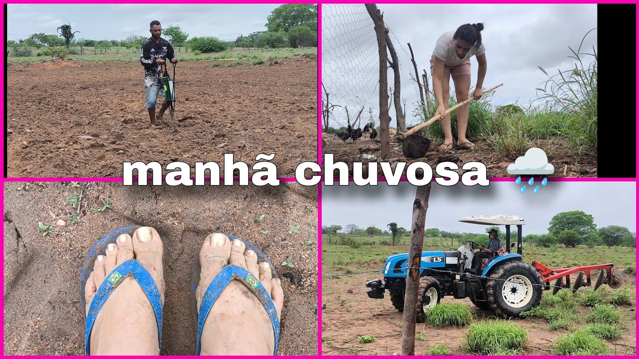 O Que plantamos quando a chuva cai no sertão?? (Nossa Manhã de Trabalho na Roça)