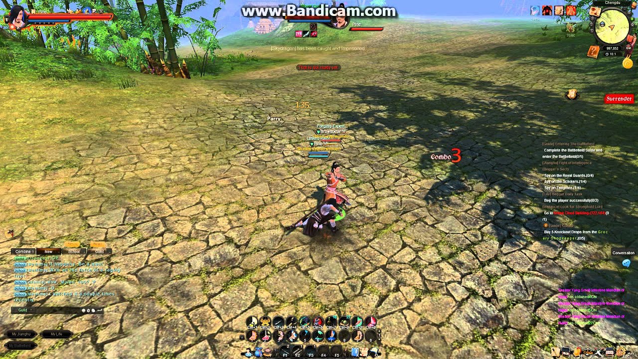 Age of Wushu - Beggar Sect V.S. Royal Guard