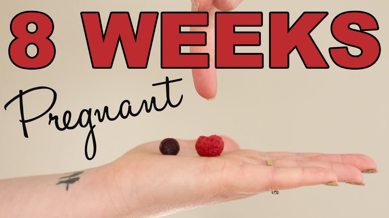 8 WEEKS PREGNANT | Ramzi theory , Morning sickness cures