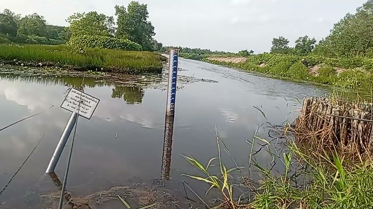 Mancing sore ikan nila