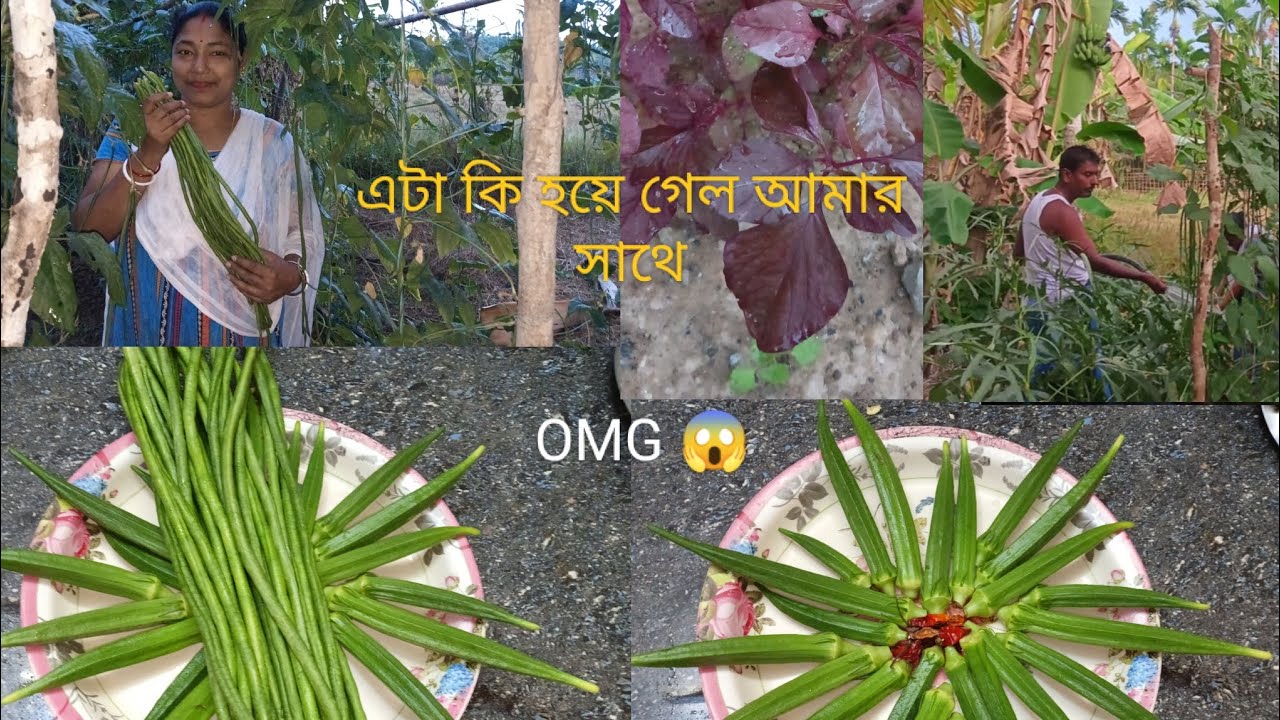 সবজি বাগিচায় জল দিচ্ছে আমার বর 