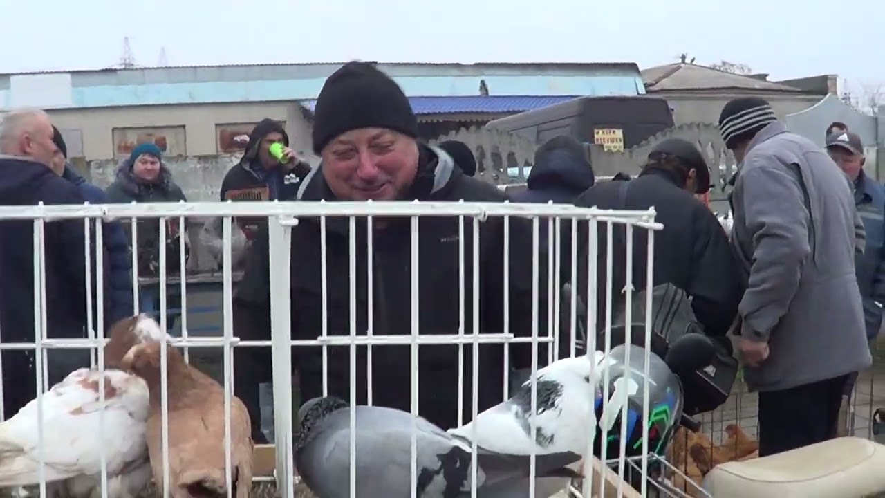 ч 1 Дніпро. ярмарок. голуби.кури.кролі...