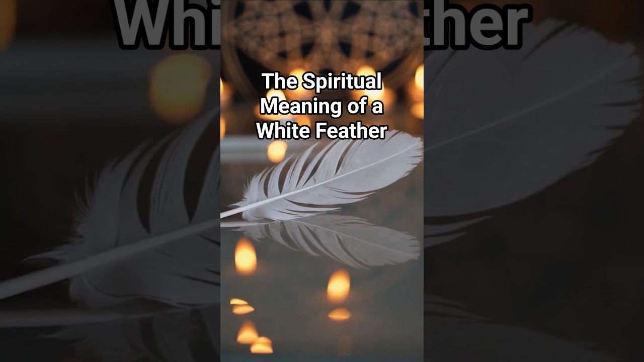 The Spiritual Meaning of a White Feather