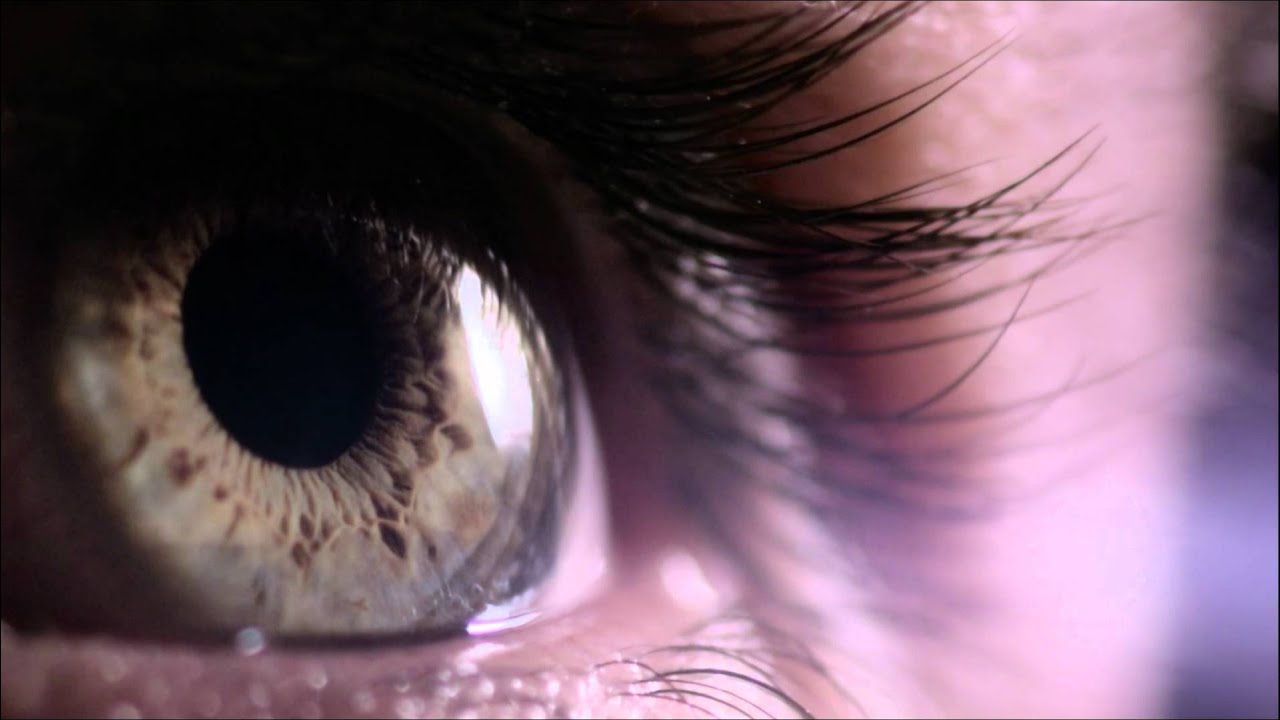 INCA - Des yeux film&eacute;s en macro !!!