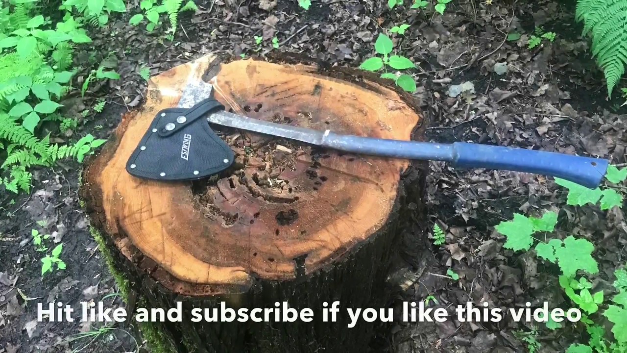 Estwing Axe (10 year  review)