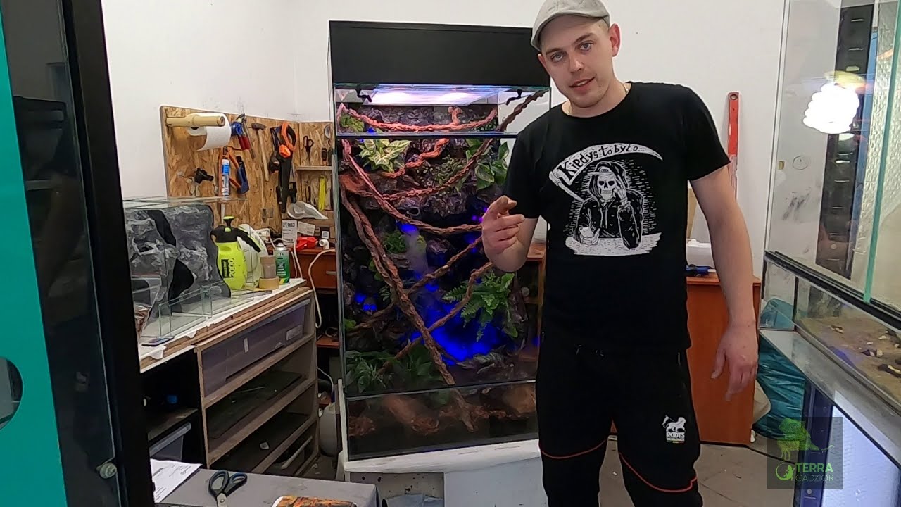 Raj dla kameleona czyli bardzo duży zbiornik bardzo dużo bajerów 😁💪