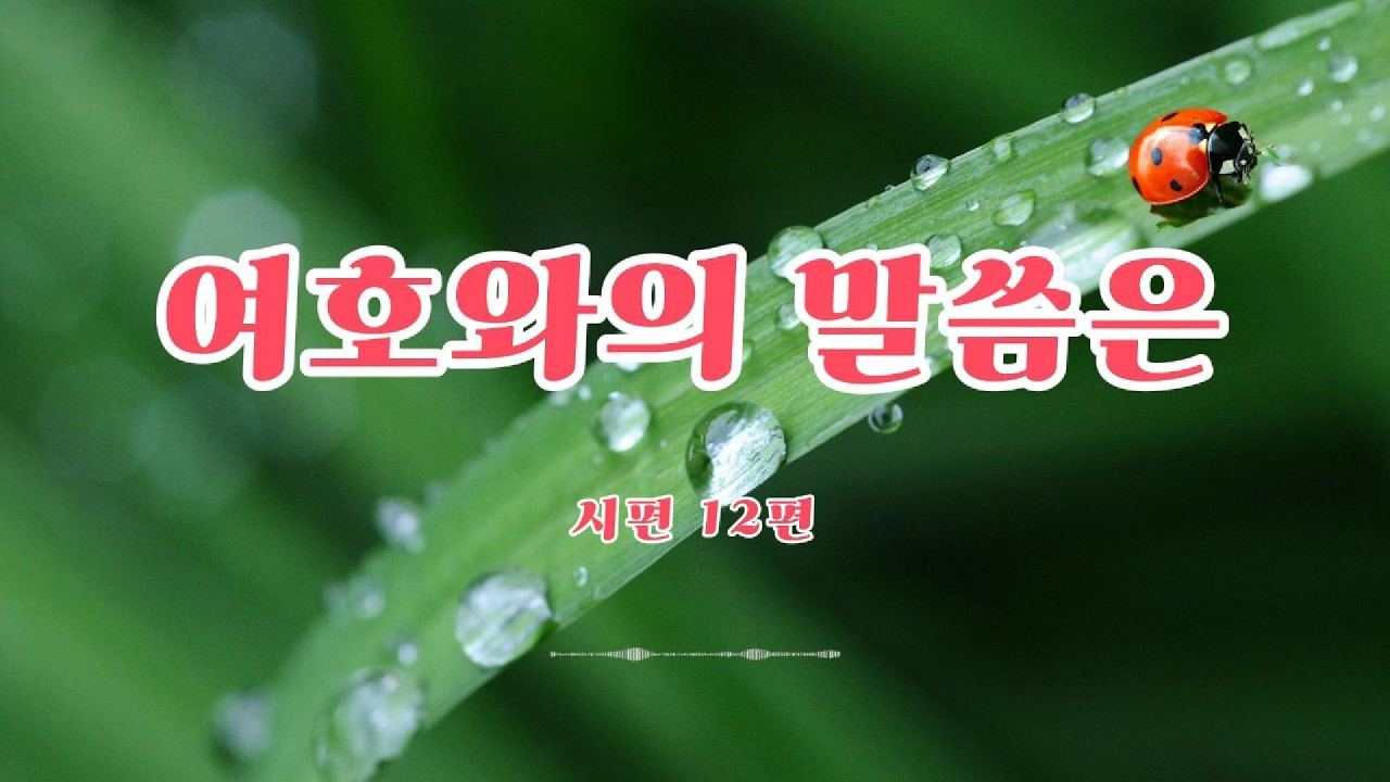 2026 사순절-26day ] 너희는 먼저: 찬양ㅣ강서eTVㅣ AI플랫폼처치ㅣ#사순절 #아침기도 #예수님 #하나님나라 #하나님 #성령님 #말씀 #순결