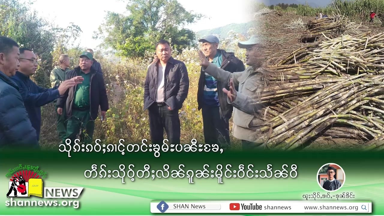 The MNDAA are forcing local residents in Hsenwi to sell or lease their land | SHAN News