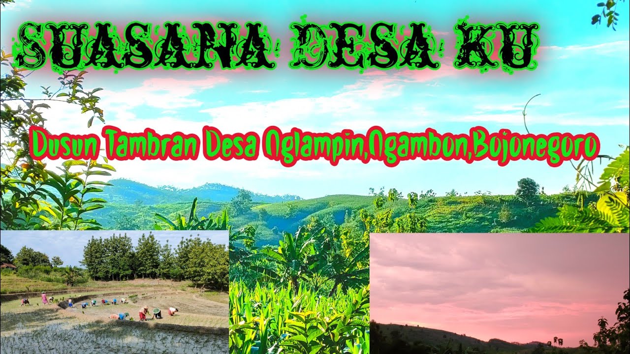 Suasana pedesaan‼️ dusun Tambran desa nglampin Ngambon  bojonegoro